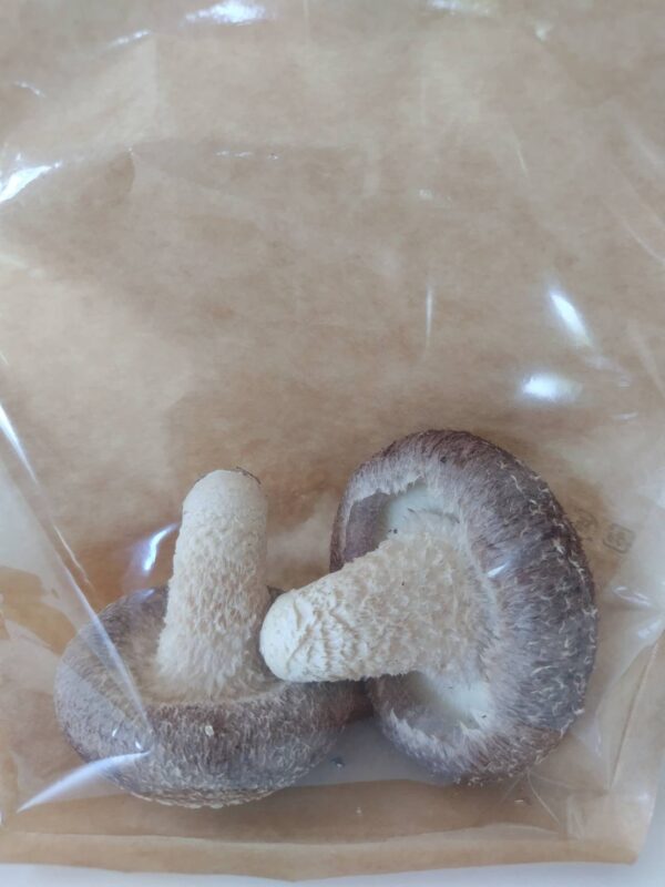 菌床椎茸 - 画像 (4)
